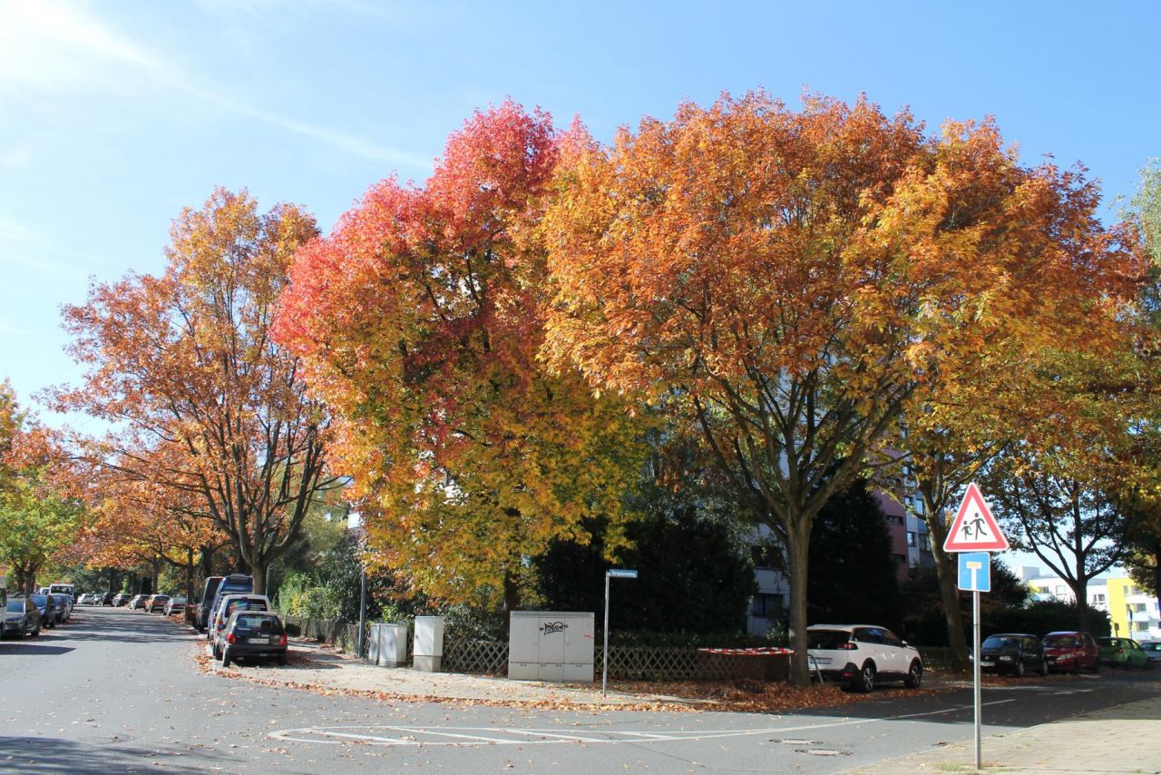 Bochum: -VERKAUFT- Zwei hochwertige ETW, 2 Loggien, 2 Tiefgaragenstellplätze, Waldrandlage, provisionsfrei zu verkaufen!