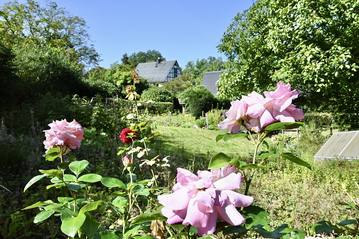 Sprockhövel: -VERKAUFT- Seltenheitswert - gesundes Wohnen & Arbeiten im Grünen zentrale Lage prov.frei zu verkaufen!