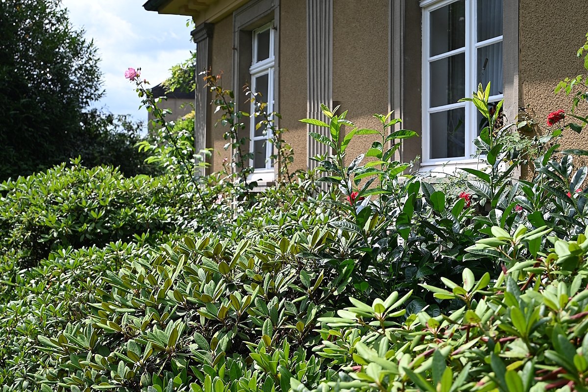 Dülmen: Einzigartige, repräsentative Villa denkmalgeschütztes Wohnhaus prov.frei zu verkaufen!