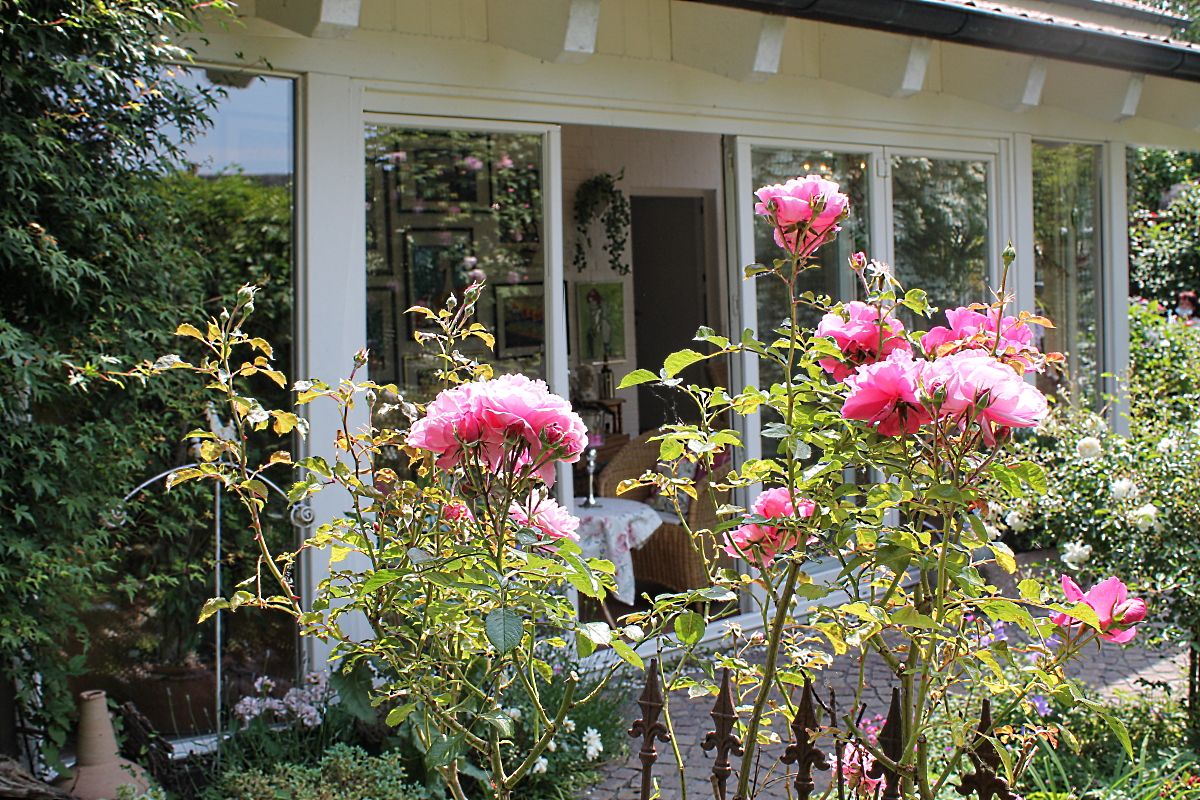Garten Garten