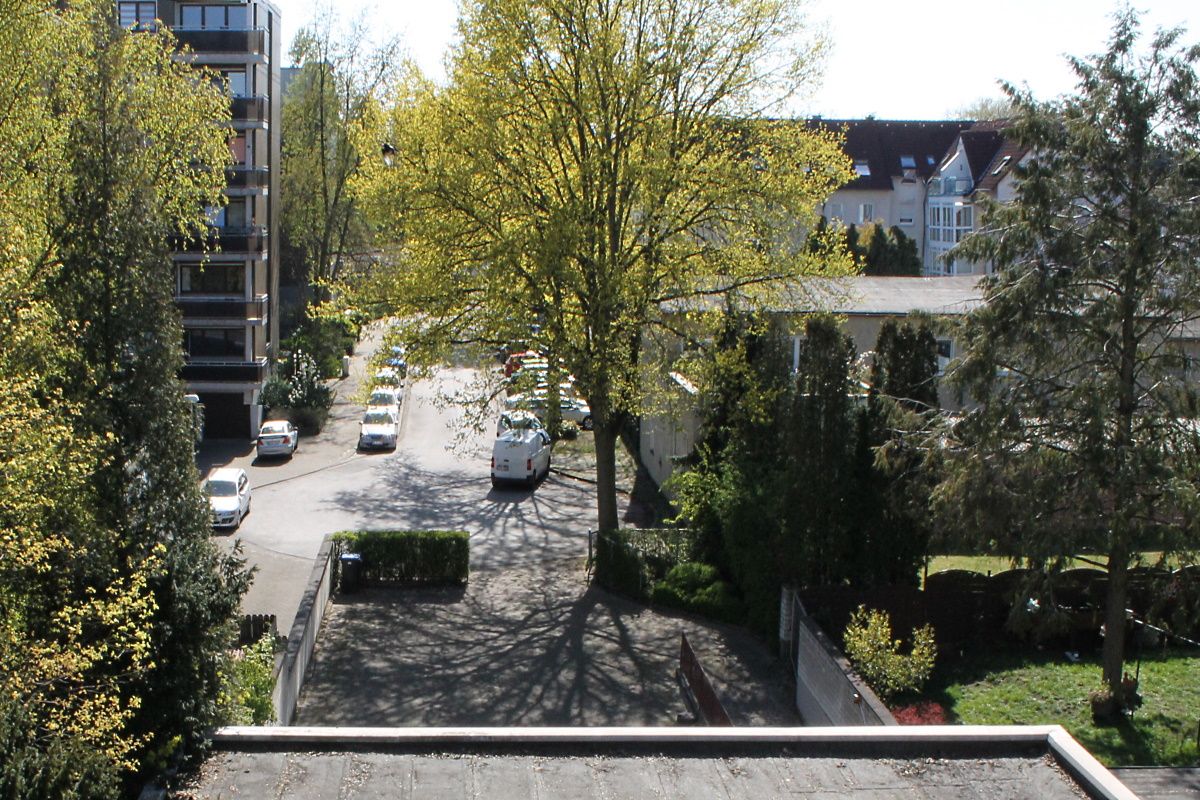 Blick ins Grüne Blick ins Grüne