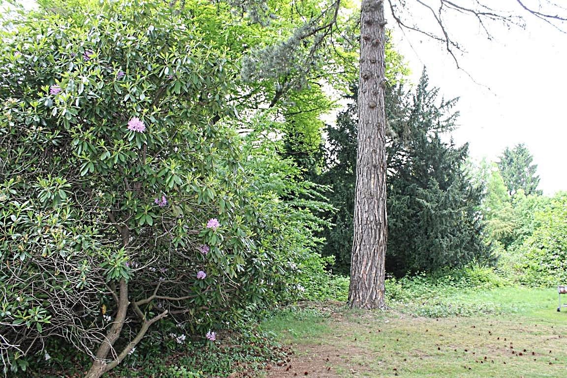 Villa Grundstück Villa Grundstück