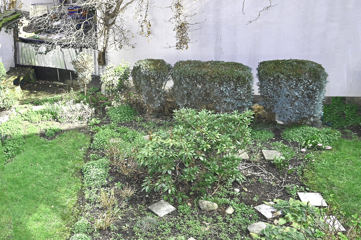 Garten Garten