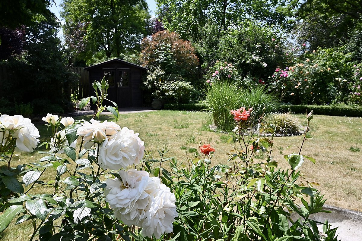 Blick in den Garten Blick in den Garten