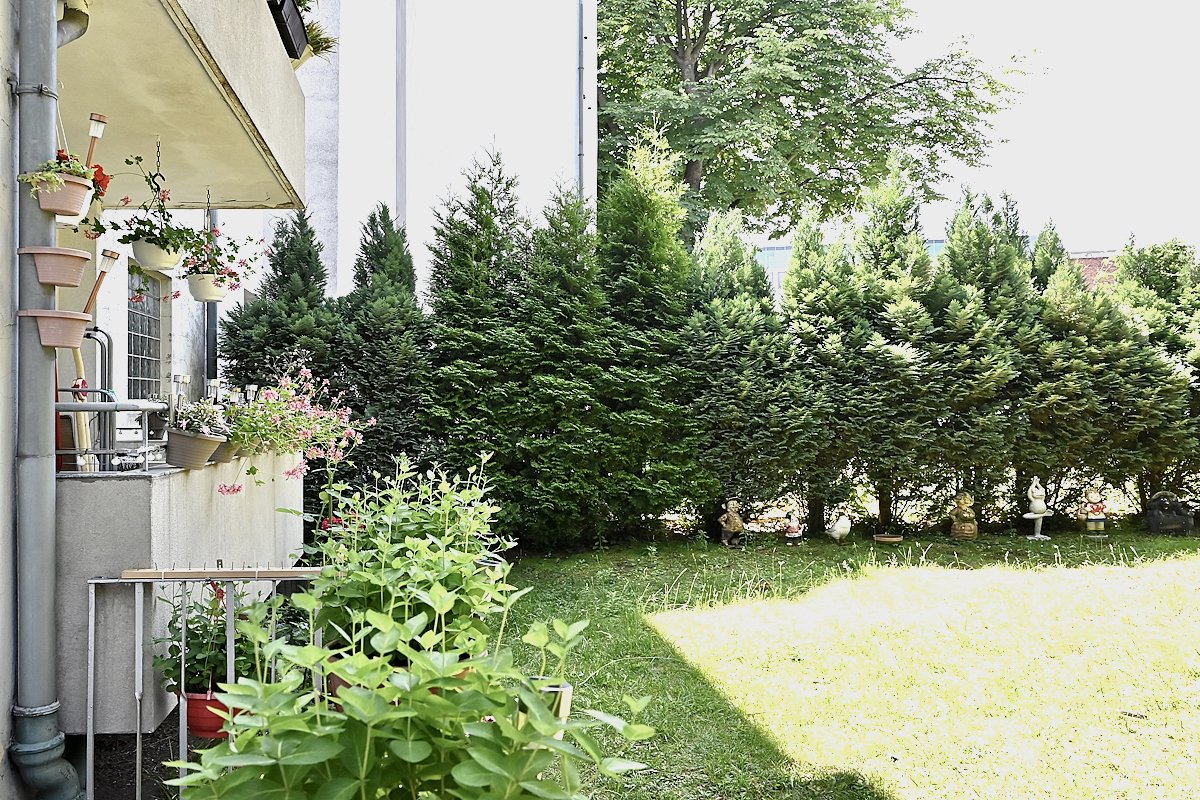 Blick zum Garten Blick zum Garten