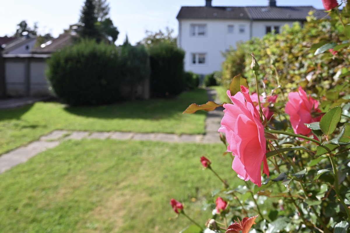 Garten Garten