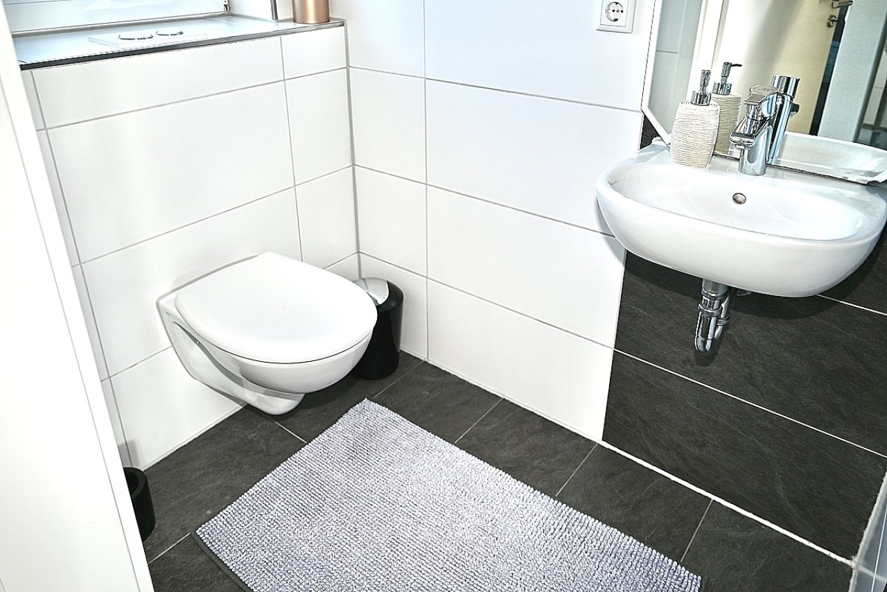 Gäste-WC mit Dusche EG Gäste-WC mit Dusche EG