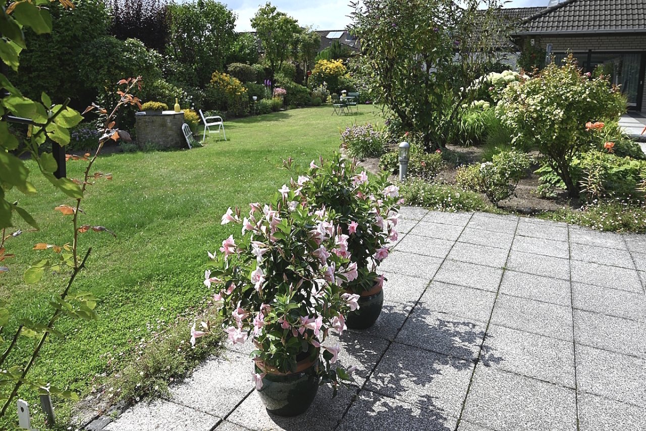 Terrasse Terrasse