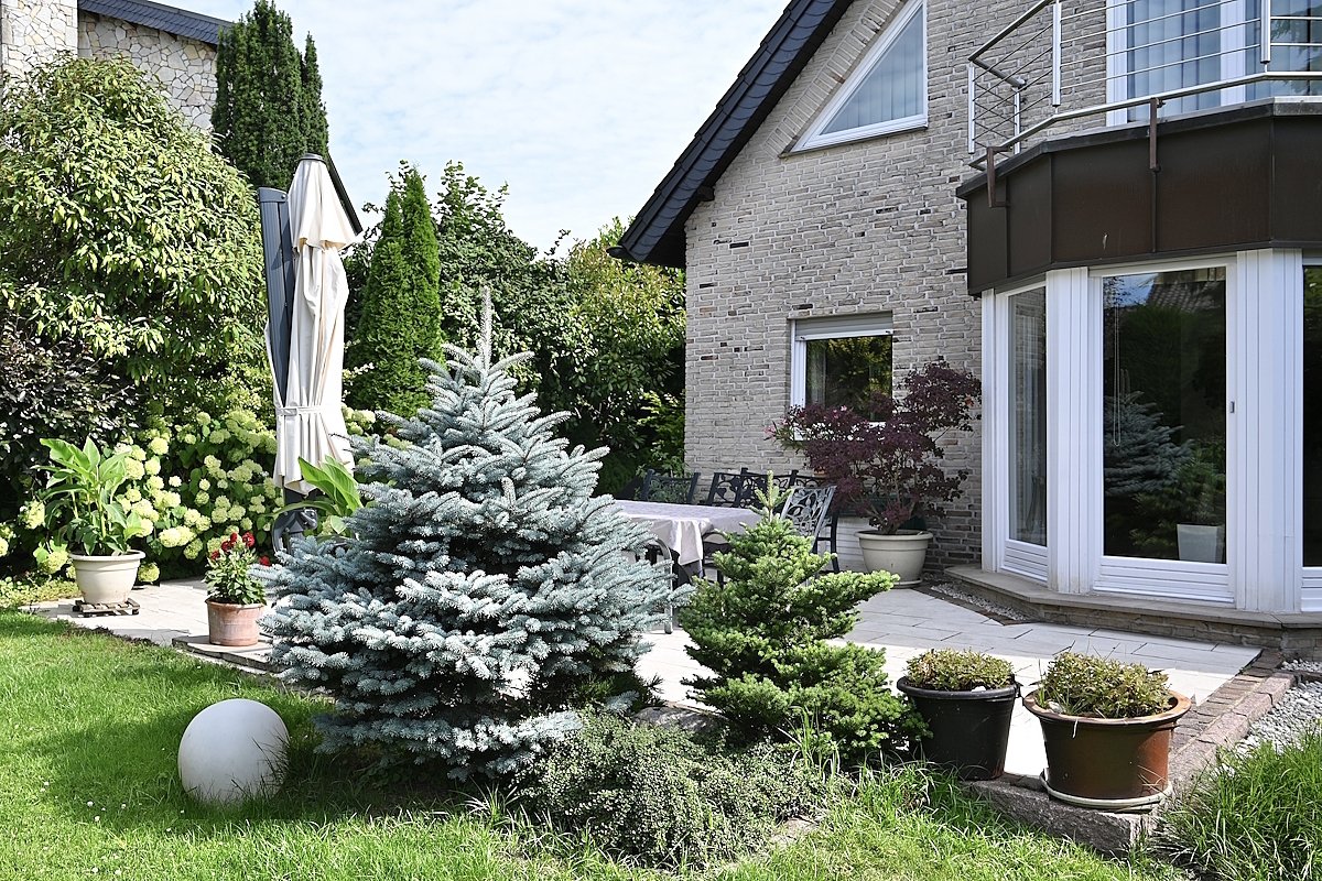 Blick auf Haus und Terrasse Blick auf Haus und Terrasse