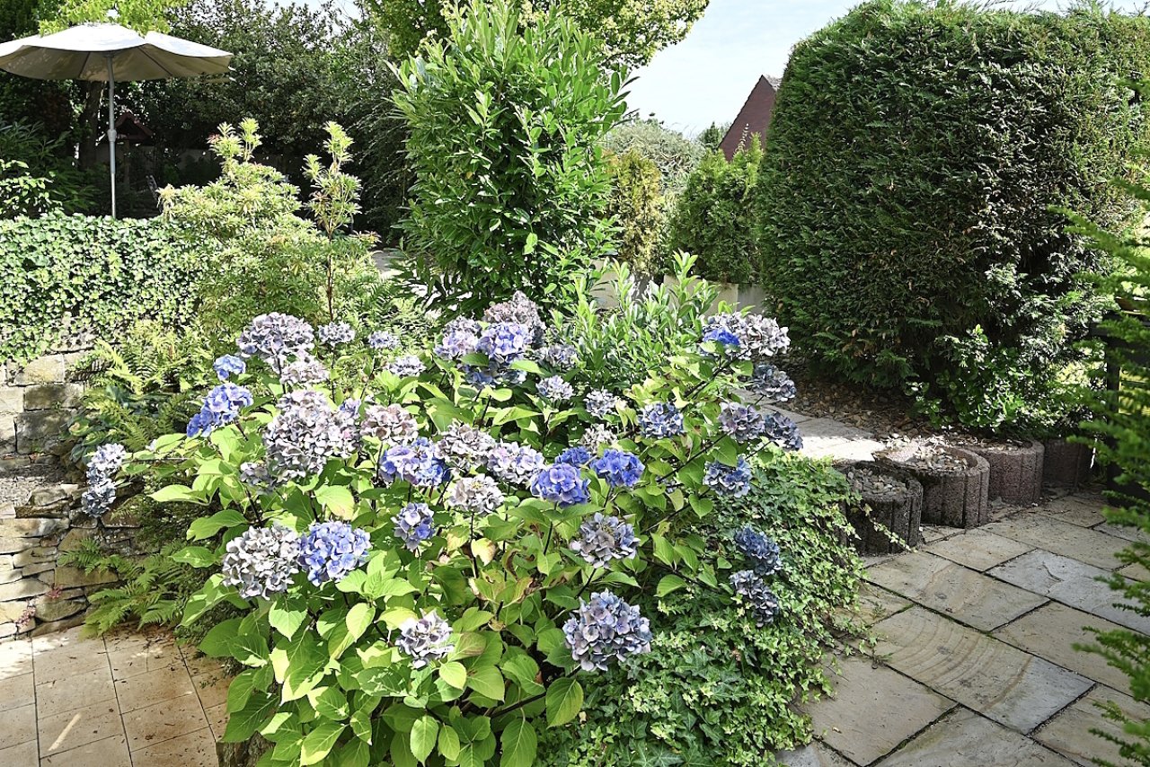 Gartenbereich Gartenbereich
