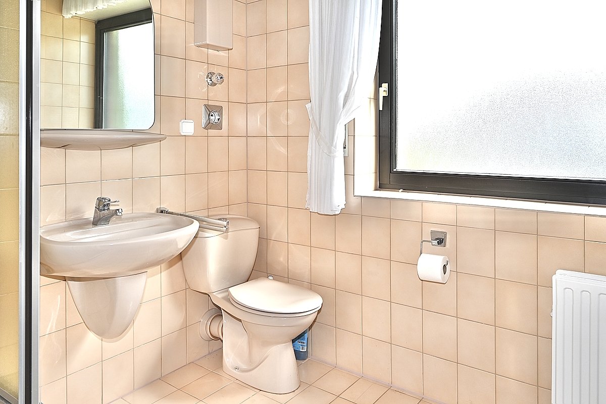 Tageslicht-Badezimmer mit Dusche