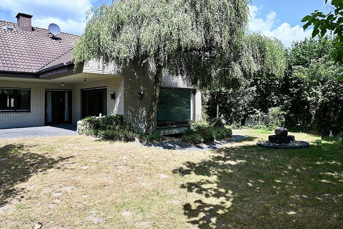 Garten Blick zum Haus