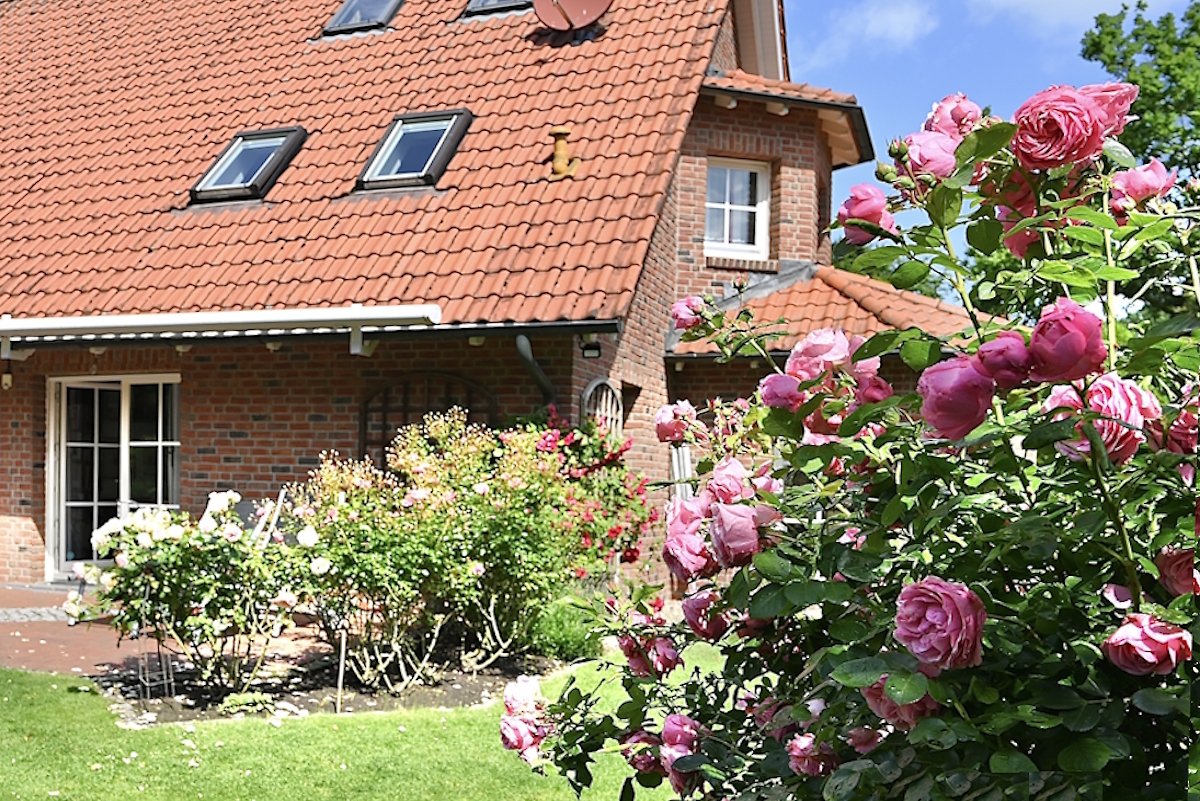 Garten Blck zum Haus