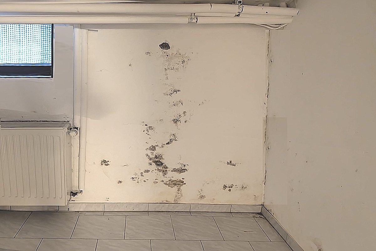 KG Zweifamilienhaus Feuchtigkeit