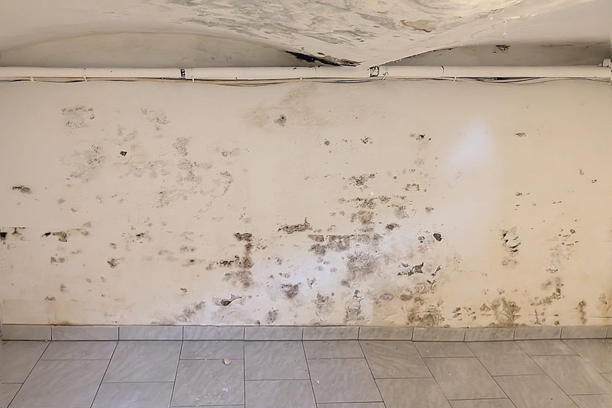 KG Zweifamilienhaus Feuchtigkeit