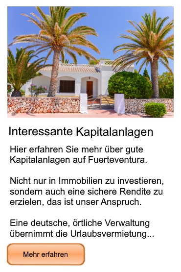 Informationen zu guten Kapitalanlagen bei Freiesleben Immobilien