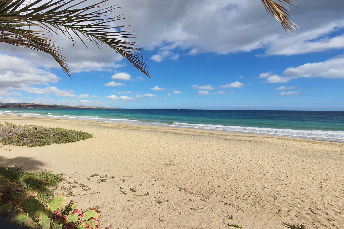 GUTE KAPITALANLAGEN FUERTEVENTURA - FREIESLEBEN GmbH