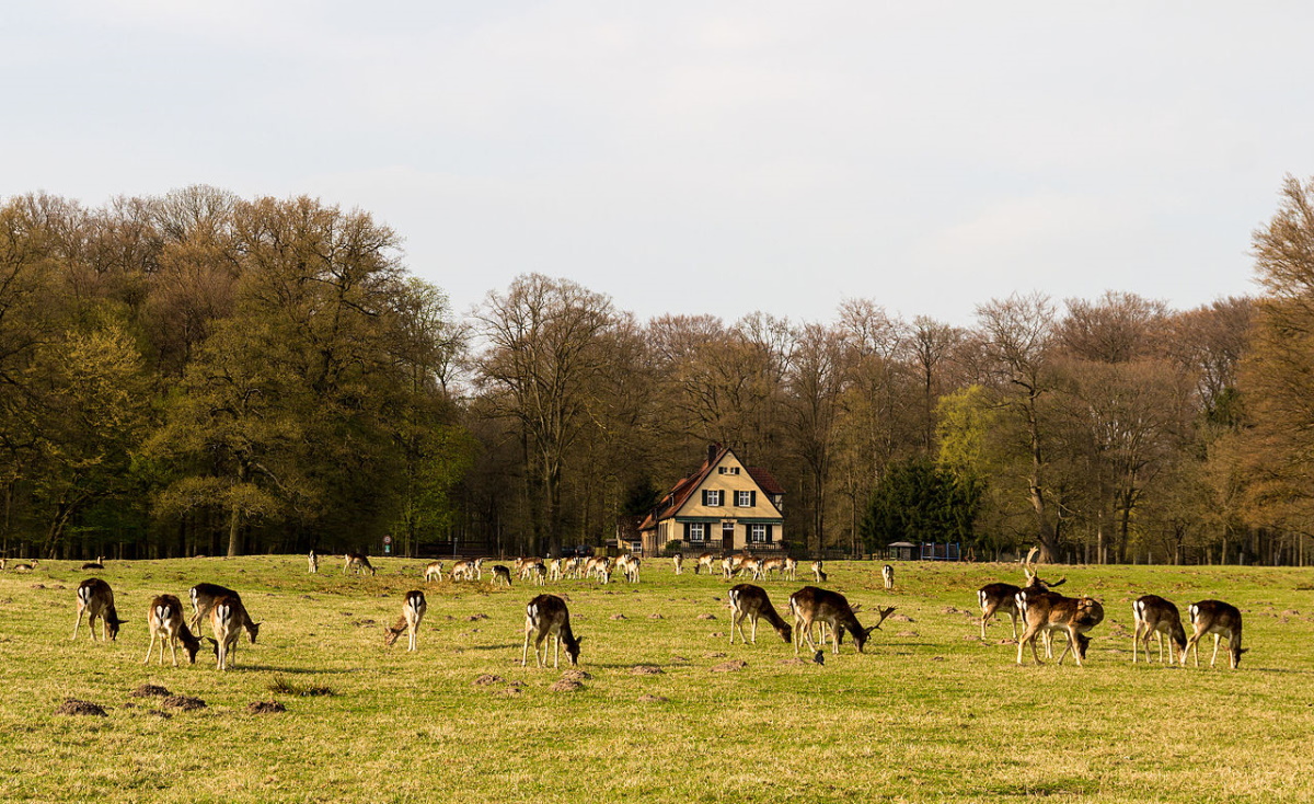 Wildpark Dülmen