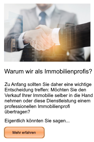 Informationen zu Freiesleben Immobilienprofis im Münsterland und Ruhrgebiet