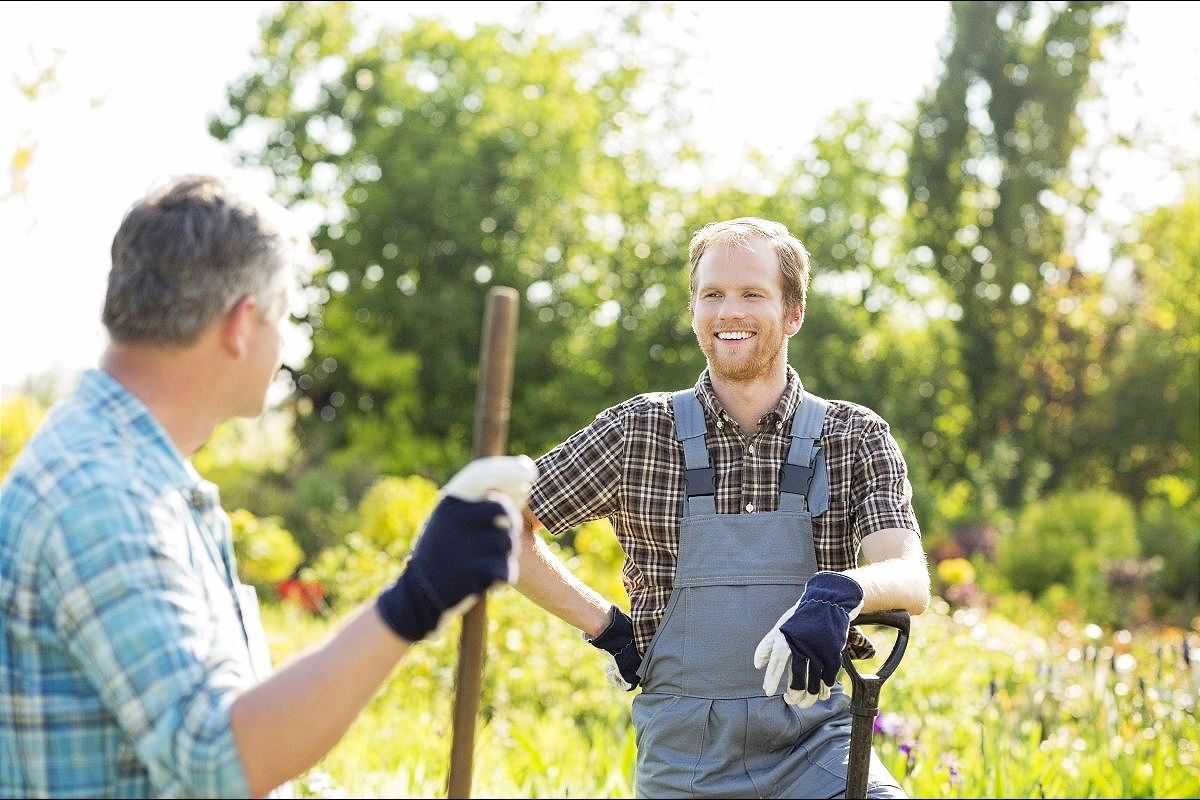 JOBS GELD VERDIENEN TIPPGEBERPROVISION FREIESLEBEN GMBH