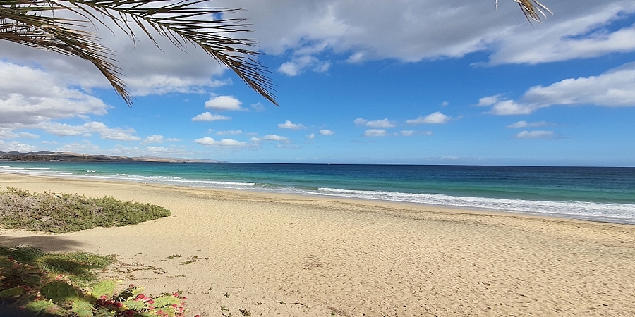 GUTE KAPITALANLAGEN FUERTEVENTURA | FREIESLEBEN-IMMOBILIEN